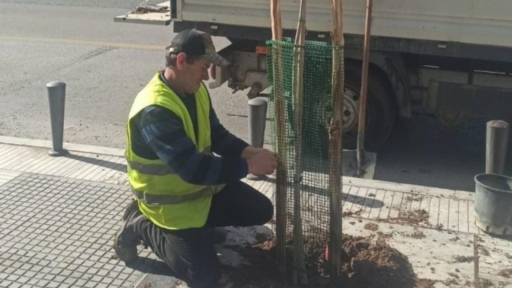 Χίλια νέα δέντρα φυτεύτηκαν μέσα σε πέντε εβδομάδες στον κεντρικό δήμο