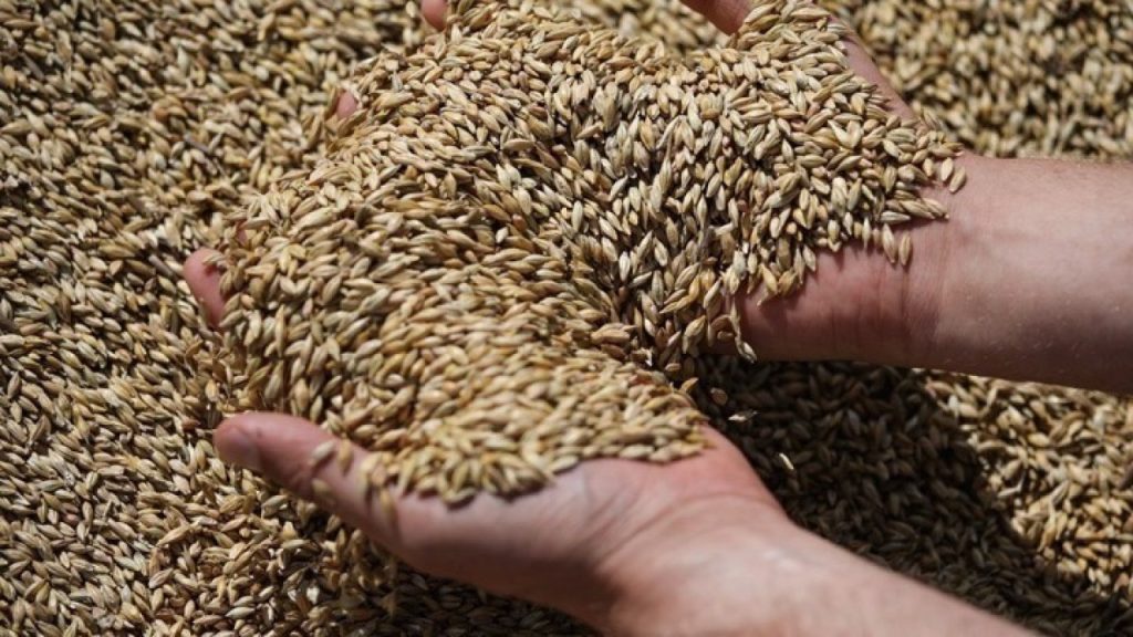 Η Ρωσία λέει πως παρέδωσε 200.000 τόνους σιτηρών δωρεάν σε 6 χώρες της Αφρικής