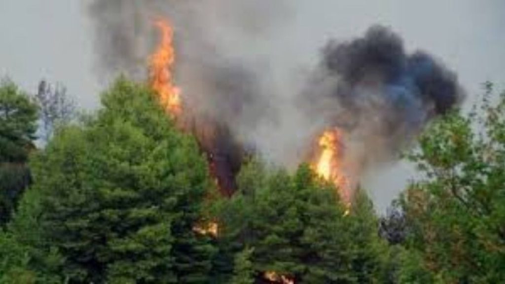 Πυρκαγιά στην περιοχή Ασκητές Ροδόπης