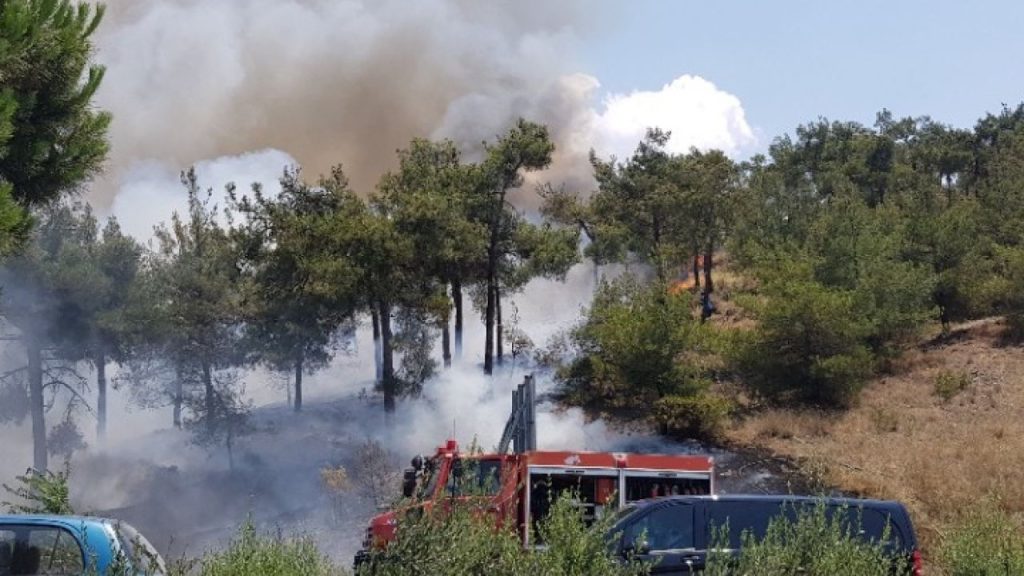 Αυξημένη επικινδυνότητα για δασικές πυρκαγιές