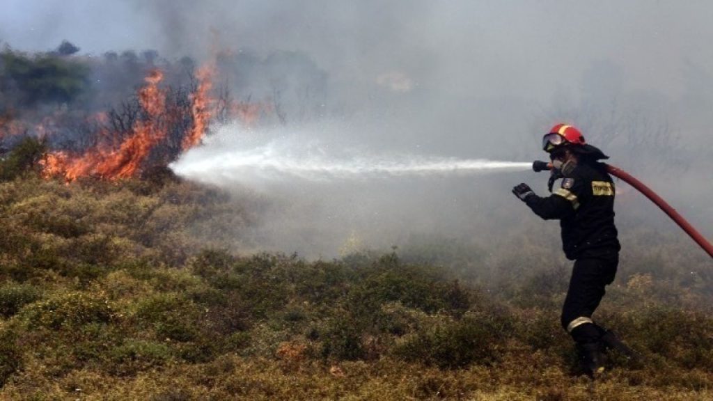 Πυρκαγιά σε αγροτοδασική έκταση στην περιοχή Μοναστηράκι